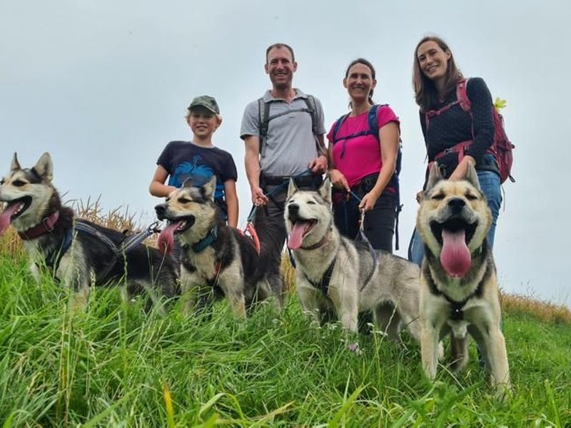 Husky-Wanderung